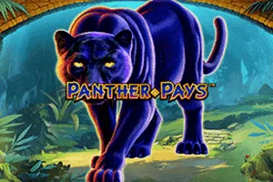 Playtech : Panther Pays - ADAGAMING168
