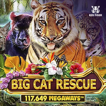 Redtiger : Big Cat Rescue Megaways - ADAGAMING168