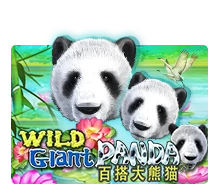 Joker123 : Wild Giant Panda - ADAGAMING168