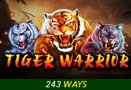 Spadegaming : Tiger Warrior - ADAGAMING168