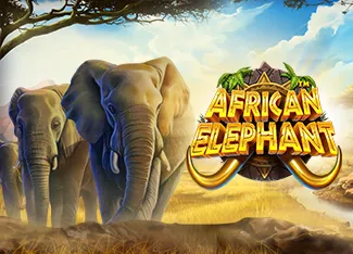 Pragmatic : African Elephant - ADAGAMING168